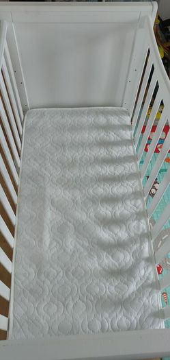Cot