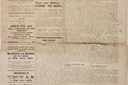 1913 Sinn Fein Pre Revolutionary Newspaper