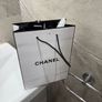 Chanel Bag and Wrap Image 2
