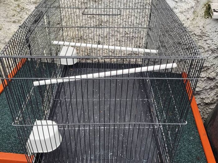 cage