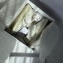 Authentic Dior-ID Low Top Sneakers White Leather with Transparent Rubber Toe Cap Image 7