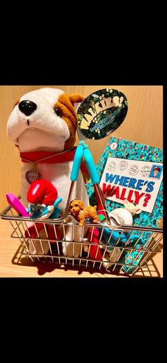 Dog in Basket Brand New Bundle