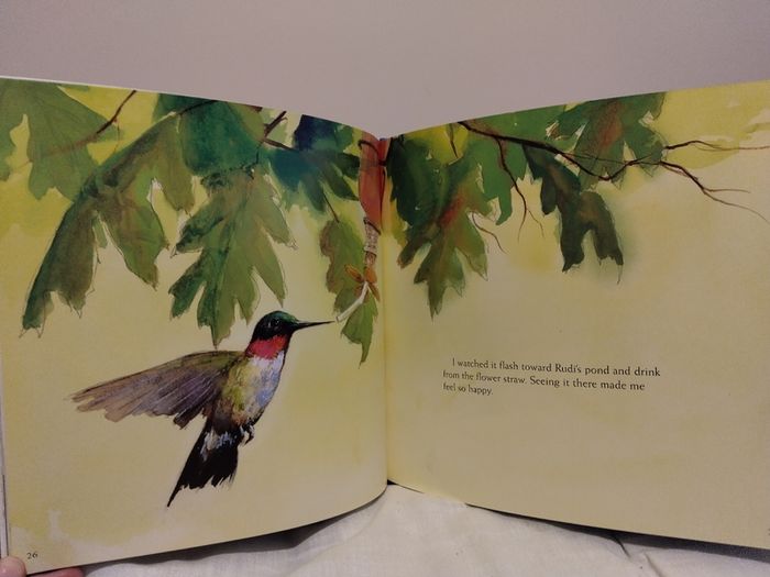 Rudi,s Pond Hardback Book