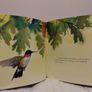 Rudi,s Pond Hardback Book Image 10