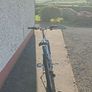 bike Image 5