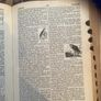 Simplified Dictionary Image 5