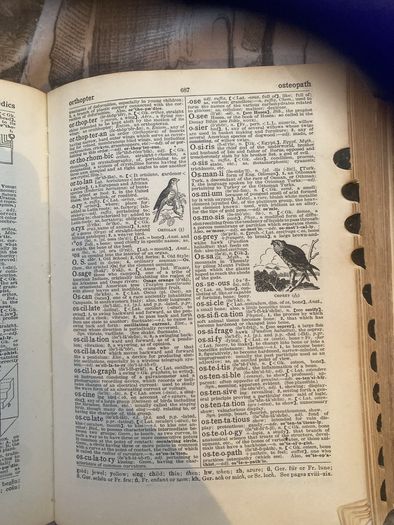 Simplified Dictionary