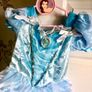 Cinderella costumes Image 2