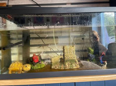 Large fish tank