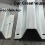 Greenhouse / polytunnel with strong Polycarbonate sheeting Image 4
