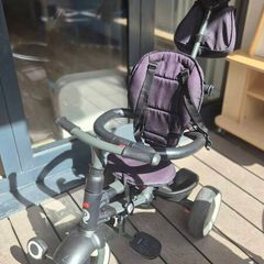 Toddler Trike