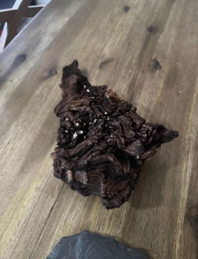 Reptile tank vivarium decoration Accessories 3 pieces