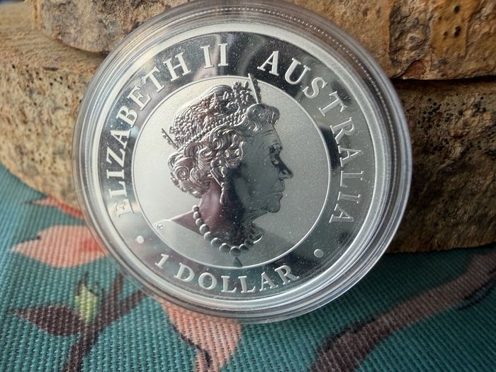 2019 Kookaburra Silver 10z