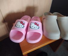 flip flops