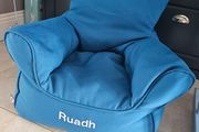 Infant beanbag