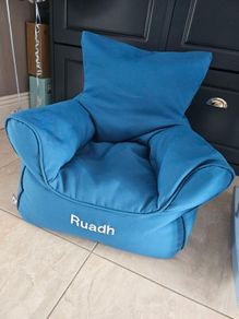 Infant beanbag