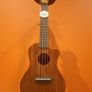 ukulele concert+ BEGINNERS COURSE + full bundle of accessories included!!! Image 8