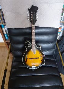mandolin