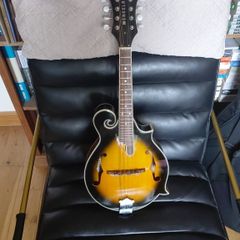 mandolin