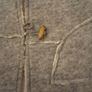 ZARA Girl's jacket 3-4 years Image 3