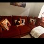 Sofas and bunk bed Image 3
