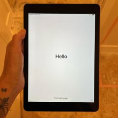 Apple iPad Air 1st Gen