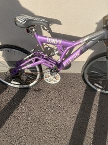 Raleigh Drift Bike