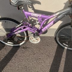 Raleigh Drift Bike