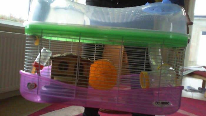 Hamster Cage