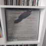 Daniel Caesar - Case Study 01 (LP, Album, Red) Image 2