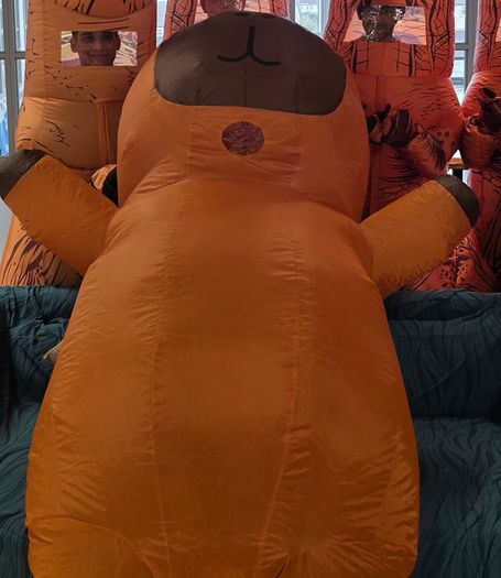 Inflatable Capybara Costume for Halloween
