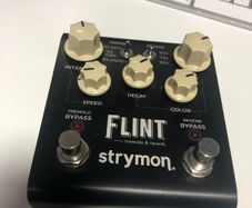 Strymon Flint V1