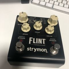 Strymon Flint V1