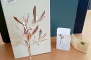 Silverplated Greek olive tree
