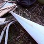 Kayak Image 8