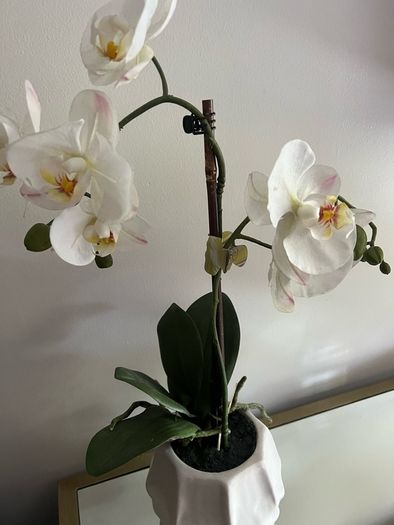 plant artificial orchids