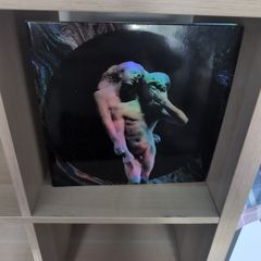 Arcade Fire - Reflektor (2xLP, Album, RE, 180) Vinyl