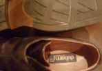 Dubarry shoes
