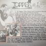 Topper and Topper Returns 1937 DVD Cary Grant Constance Bennett Region 1 USA Image 5