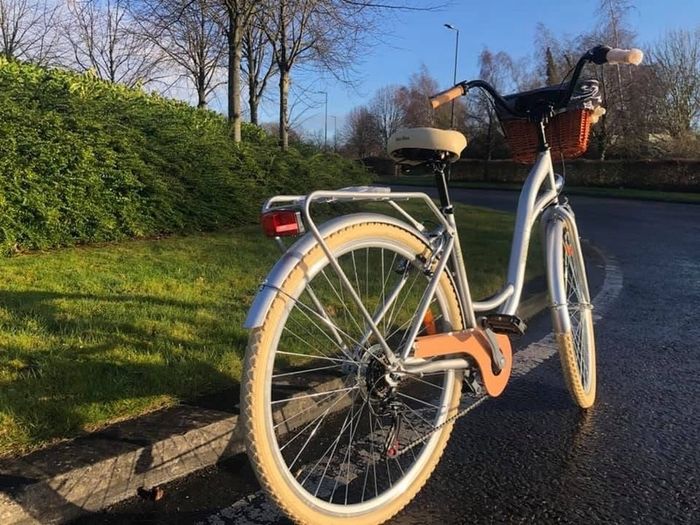 Lady's City Bike / Basket / 7 Shimmano Gears / DELIVERY