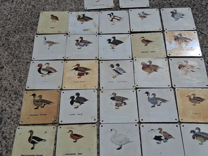 37 X Mid Century Avian Metal Display Plaques