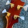 Jay Turser JTB-3 Semi Hollow Bass Guitar Image 10