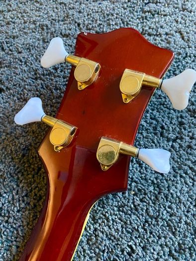 Jay Turser JTB-3 Semi Hollow Bass Guitar