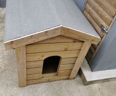 dog kennel