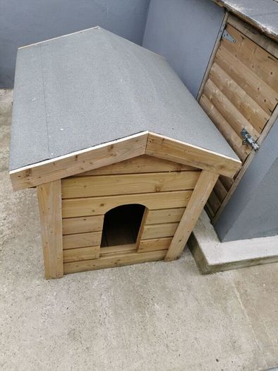 dog kennel