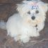 lisa.obrien.9674