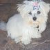 lisa.obrien.9674