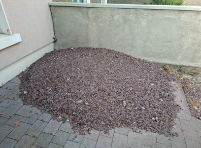 Plum slate