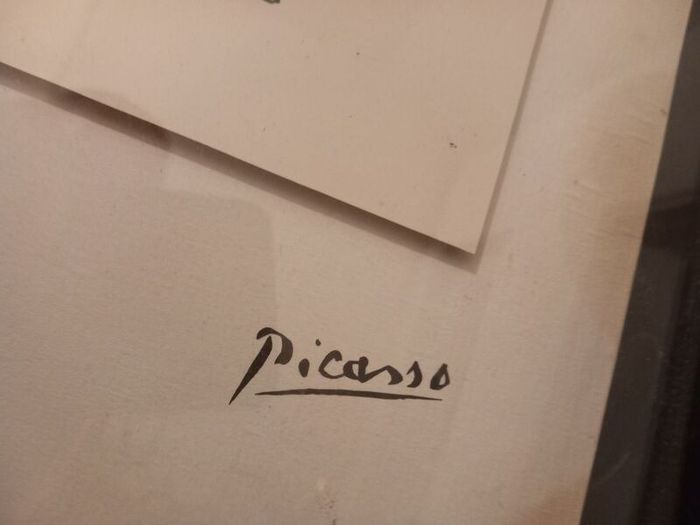 picasso animal study lithographs mounted/framed