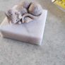 Small cat on marble plinth. Image 4